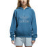 Фото #1 товара [CE4864] Womens Adidas Signature Hoodie