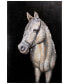 White horse Mixed Media Iron Hand Painted Dimensional Wall Art, 48" x 32" x 2.2"