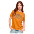 Фото #1 товара SUPERDRY Outdoor Stripe Graphic short sleeve T-shirt