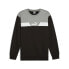 PUMA Power Colorblock sweatshirt