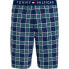 Фото #1 товара TOMMY HILFIGER UM0UM01765 shorts