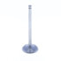 ATHENA VE-210211T Exhaust Valve