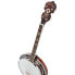 Фото #6 товара Gold Tone TS-250 Tenor Banjo w/Case