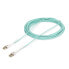 USB Cable Startech 450FBLCLC10PP Water 10 m