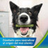 Фото #5 товара PURINA Dentalife Activefresh Small 6x115g Teeth Dog Snack