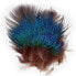 BAETIS Peacock Feather