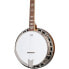 Фото #5 товара Epiphone Mastertone Classic Banjo