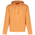 HUGO Dapo 10231445 01 hoodie