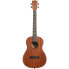 Kala Learn To Play Uke Baritone Kit