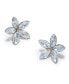 Фото #1 товара Women's Crystal Flora Stud Earrings