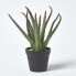 Фото #6 товара Искусственные цветы Homescapes Комнатное растение Aloe Vera 30 см