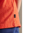 SUPERDRY Orange Label Essential Organic Cotton short sleeve T-shirt
