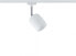PAULMANN 953.42 - Rail lighting spot - G9 - 1 bulb(s) - 230 V - White