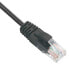 Фото #2 товара Wirewin PKW-LIGHT-K6 2.0 SW - 2 m - Cat6 - U/UTP (UTP) - RJ-45 - RJ-45