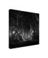 Фото #2 товара Saskia Dingemans The Dark Hedges Bewitched Canvas Art - 20" x 25"