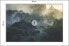 Фото #10 товара Fototapete TROPENWALD im Nebel Bäume 3D