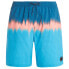 PROTEST Cagnes Swimming Shorts