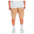 DC SHOES Ware House 2 Shorts