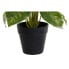 Фото #3 товара Декоративное растение DKD Home Decor PVC полипропилен 20 x 20 x 30 cm