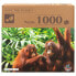 Фото #1 товара COLORBABY Child Orangutanes 1.000 Toys Pieces Puzzle