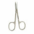 Nail Scissors Silver Steel