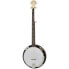 Фото #1 товара Gold Tone CC-100R 5 String Banjo Left