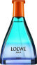 Loewe Agua Miami