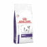 Фото #1 товара ROYAL CANIN Adult Small Dogdry 4kg Dog Food