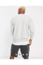 N31 M Crew Flc Cts Erkek Sweatshirt DH9182-050