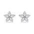 Серьги Brilio Silver Flowers EA591W