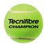 TECNIFIBRE Champion Tube 4 Balls Tennis Balls Box