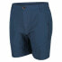 Спортивные штаны для взрослых Regatta Highton Мужской Тёмно Синий