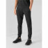 Adult's Tracksuit Bottoms 4F Black Men