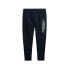 Фото #3 товара SUPERDRY Sportswear Logo Tapered joggers