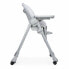 Highchair Chicco Poly Easy Giraffe Grey