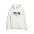 Puma Squad Logo Pullover Hoodie Mens White Casual Outerwear 67601765