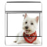 Фото #2 товара Briefkasten Stahl Westie