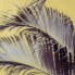 Фото #5 товара Полотно Пальмовое 100 x 2,5 x 100 cm Листья