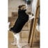 Фото #3 товара Полотенце-плащ для собак Kentucky 44см-54см черное