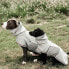 KENTUCKY Dog Rain Coat