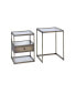 Enca Nesting Table Set (2Pc Pk) in Antique Brass & Clear Glass