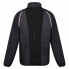 Фото #4 товара REGATTA Steren II Hybrid softshell jacket