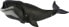 Фото #1 товара Фигурка Collecta Greenland Whale Figurine Ocean Life (Фигурка кита Гренландии)