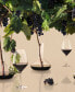Фото #3 товара Стаканы для красного вина Holmegaard cabernet 17.6 унций, набор из 6 шт.