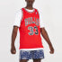 Фото #3 товара Баскетбольная жилетка Mitchell & Ness NBA SW 97-98 33 SMJYGS18153-CBUSCAR97SPI