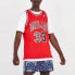 Баскетбольная жилетка Mitchell & Ness NBA SW 97-98 33 SMJYGS18153-CBUSCAR97SPI S - фото #3