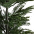 Tannenbaum Flemma I