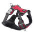 Фото #1 товара RED DINGO Acolchado Harness