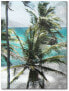 Фото #1 товара Coconut Tree Gallery-Wrapped Canvas Wall Art - 16" x 20"