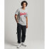 Фото #5 товара SUPERDRY Vintage Vl Interest T-shirt